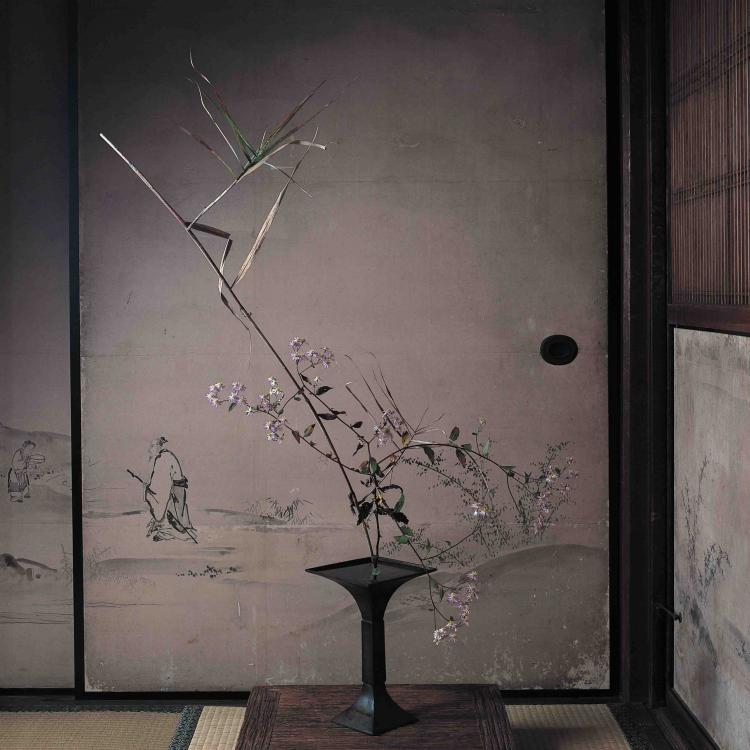 青花の会 | kogei-seika / 講座|川瀬敏郎|日本の花| 全3回|京都教室