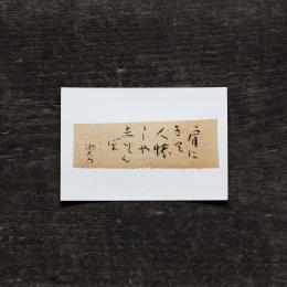 日置路花の書|<br>夏目漱石|肩にきて(A)|<br>葉書